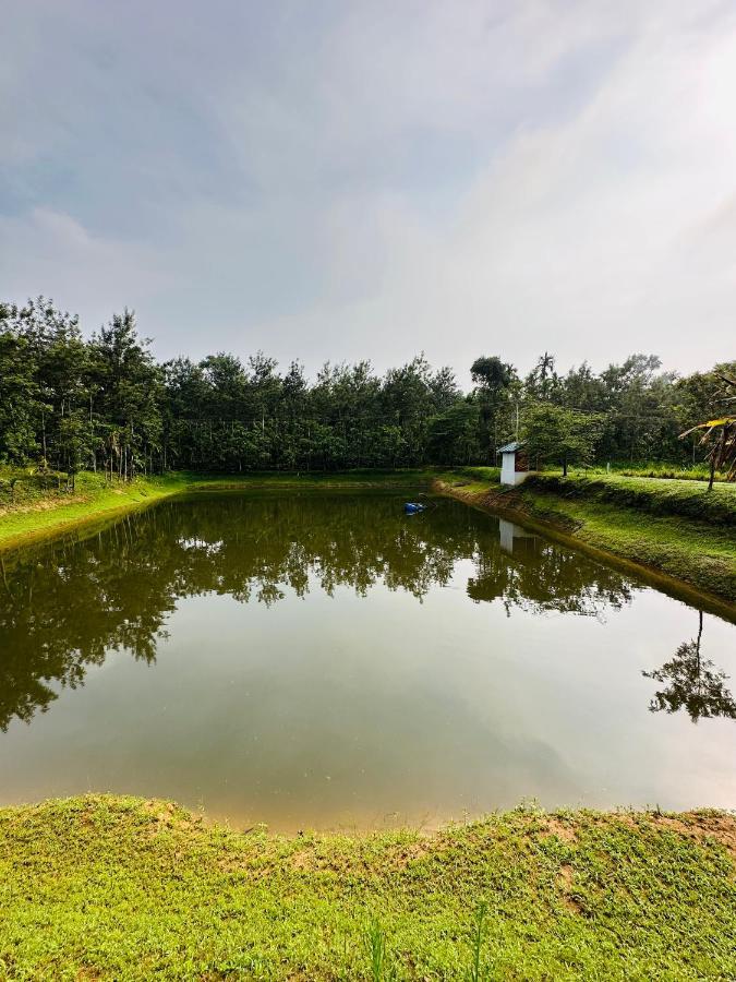 Gonikoppal Green Castle מראה חיצוני תמונה